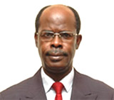 Prof. Soyibo Adedoyin, Chairman